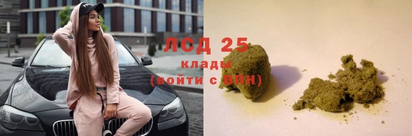 дживик Карпинск