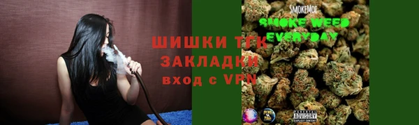 дживик Карпинск