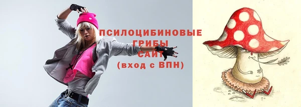 дживик Карпинск