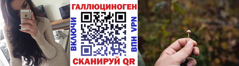 Купить  Енисейск  Галлюциногенные грибы Psilocybine cubensis 